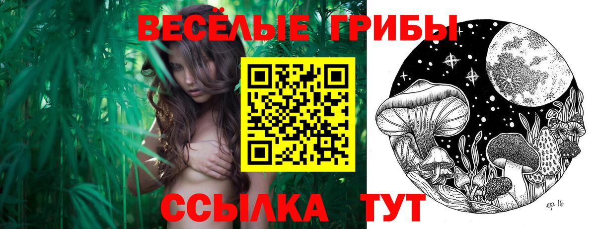 Холмск  где купить наркотик  Вход с VPN  Псилоцибиновые грибы Psilocybine cubensis 